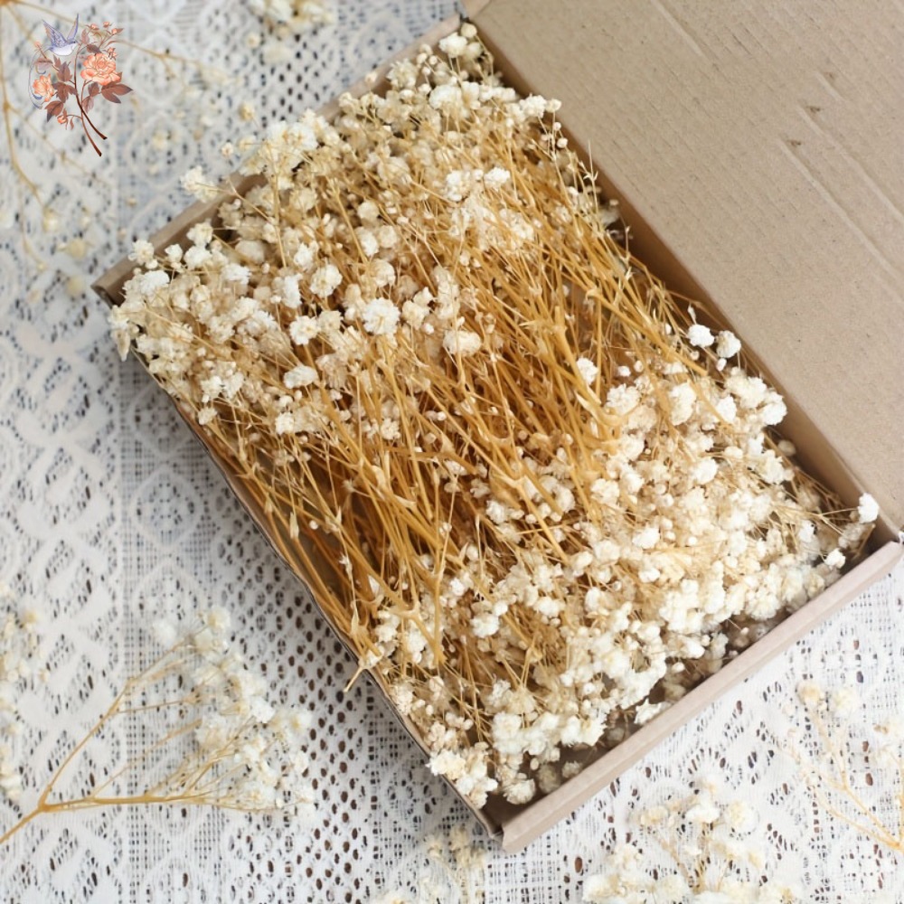 Craft Embellishment - 100個入りミニドライカスミソウ、レジン工芸DIY、家の装飾、結婚式の飾り、リアルタッチのジプソフィラ、小さな束、ギフト用装飾品