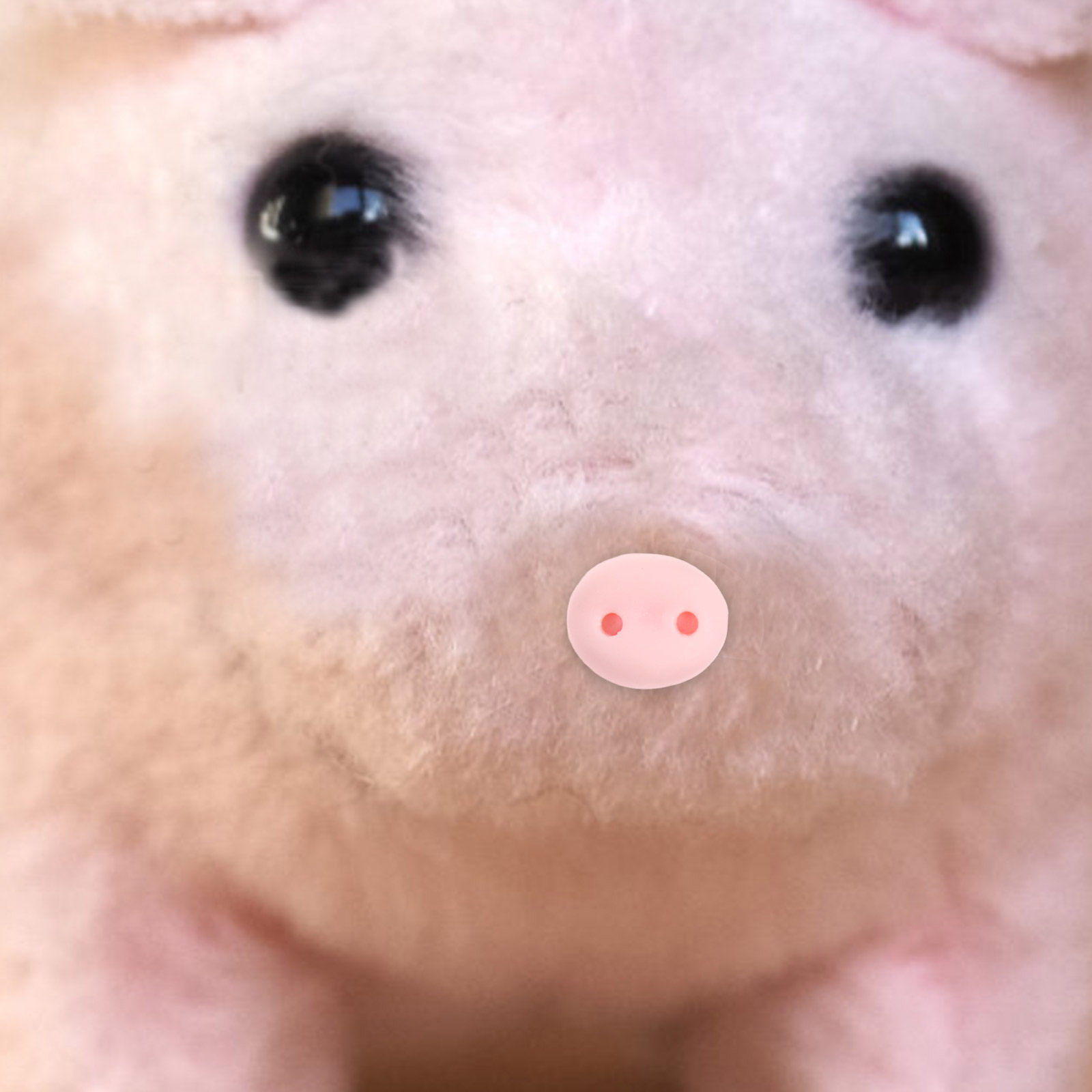 100個入り レジン製豚鼻 クラフト装飾品 動物プロジェクト - Embellishment Glue Craft のレビューと価格