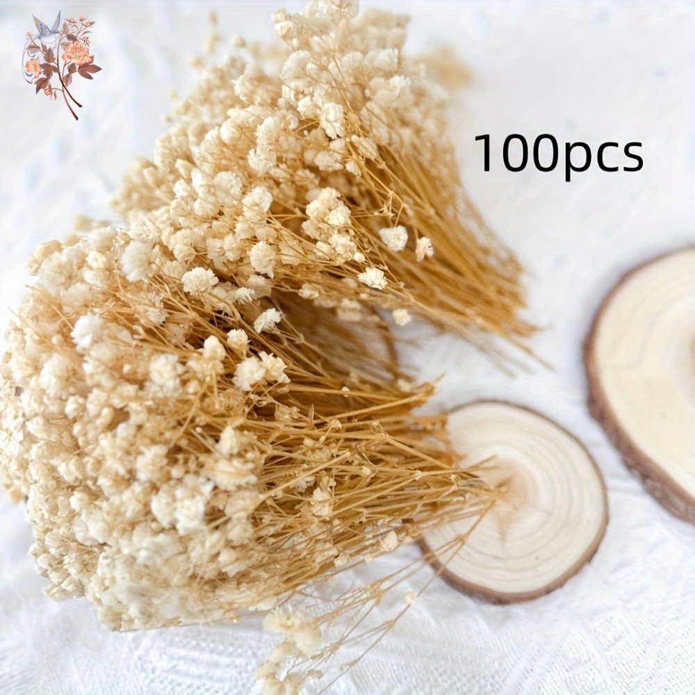 100個入りミニドライカスミソウ、レジン工芸DIY、家の装飾 - Craft Embellishment のレビューと価格